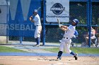 Baseball vs Babson  Wheaton College Baseball vs Babson during Semi final game of the NEWMAC Championship hosted by Wheaton. - (Photo by Keith Nordstrom) : Wheaton, baseball, NEWMAC